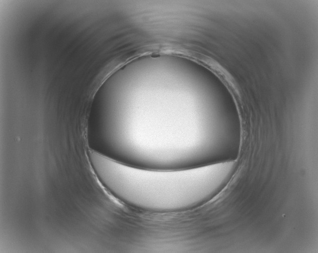X0000076231385200609280936