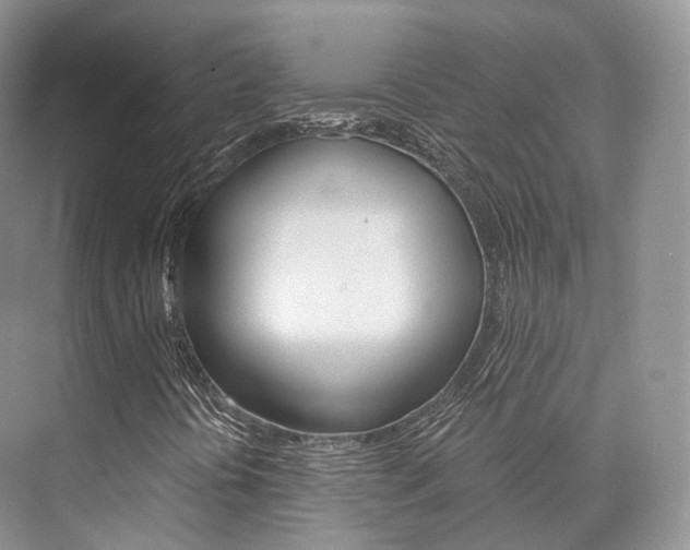 X0000076231394200609280935