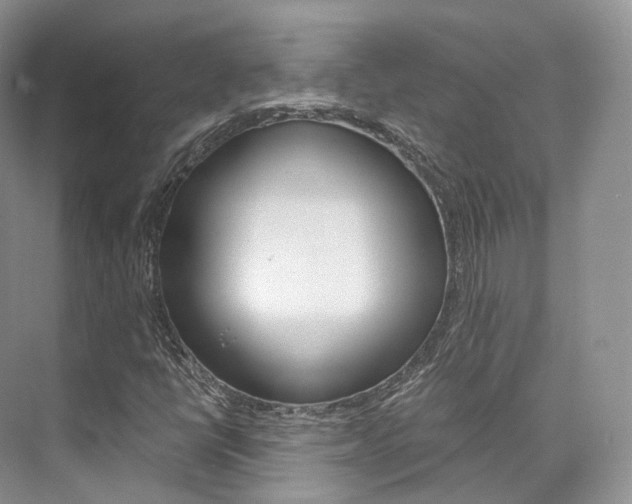 X0000076231398200609280935