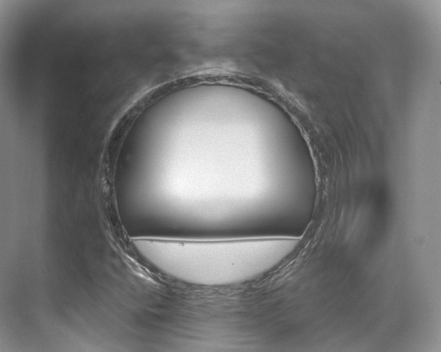 X0000076231400200609280935