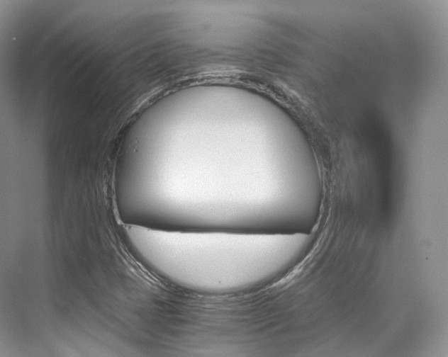 X0000076231401200609280935