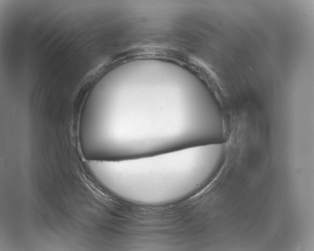 X0000076231403200609280935