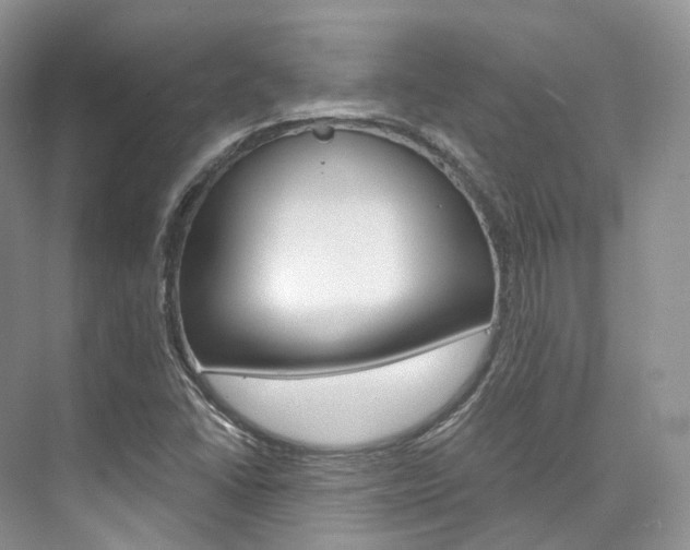 X0000076231406200609280935