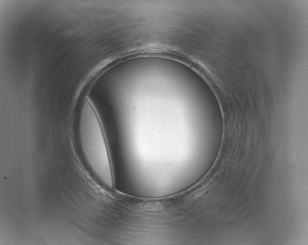 X0000076231410200609280935