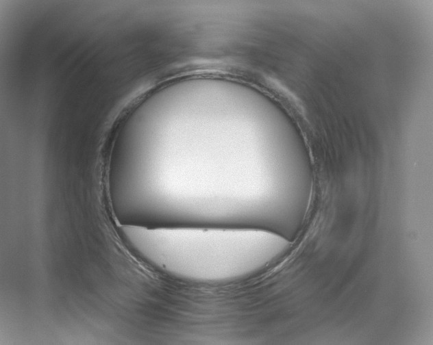 X0000076231411200609280935