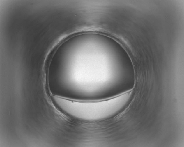 X0000076231414200609280935