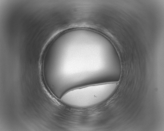 X0000076231416200609280935