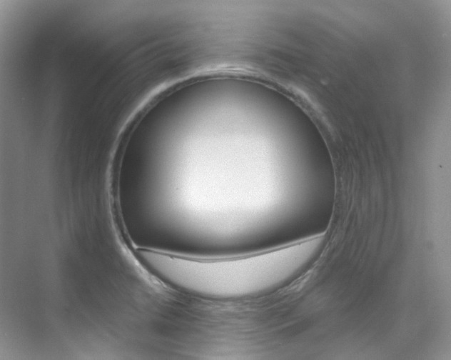 X0000076231422200609280935