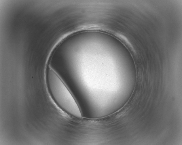 X0000076231424200609280936