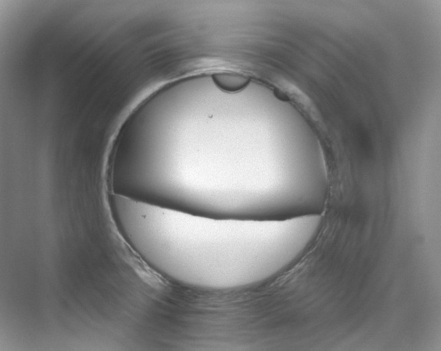 X0000076231427200609280936