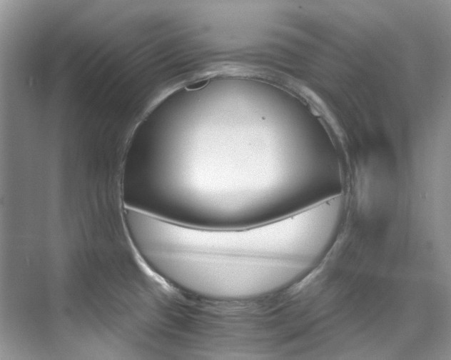 X0000076231433200609280936