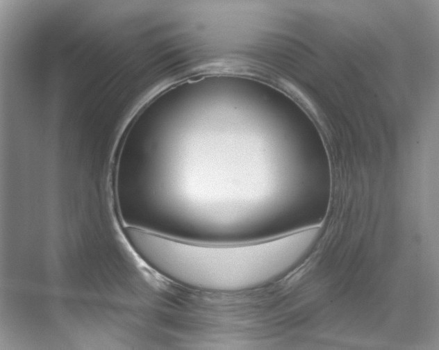 X0000076231434200609280936