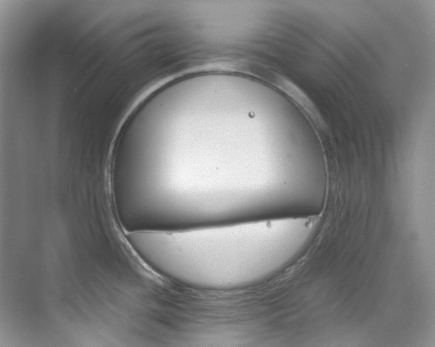 X0000076231436200609280936