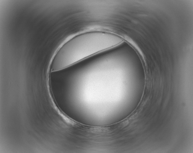 X0000076231437200609280936