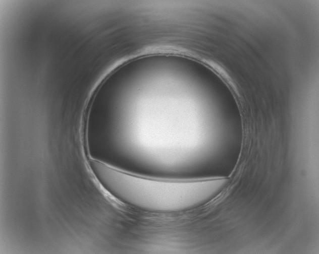 X0000076231438200609280936
