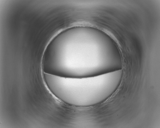 X0000076231440200609280936