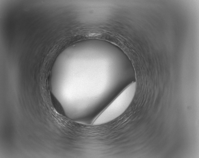 X0000076231441200609280935
