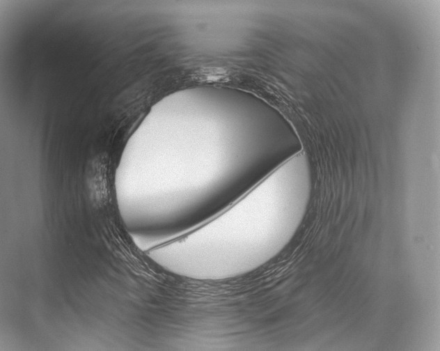 X0000076231442200609280935