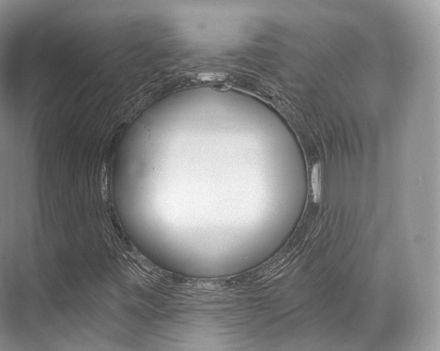 X0000076231443200609280935