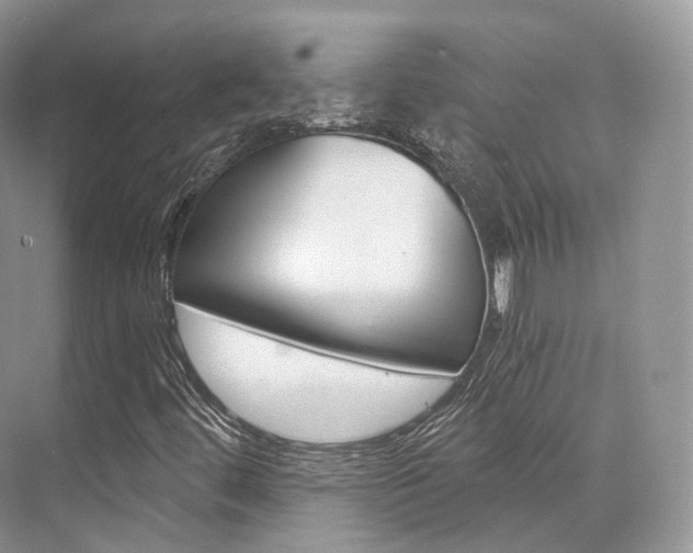 X0000076231444200609280935