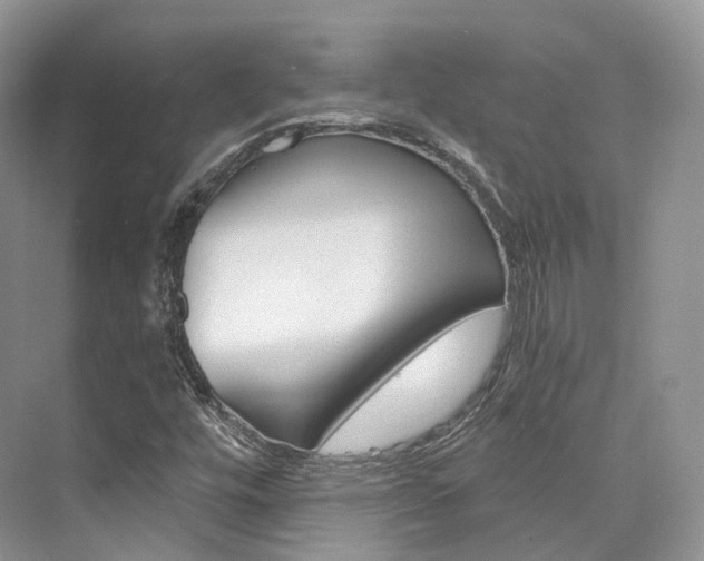 X0000076231448200609280935
