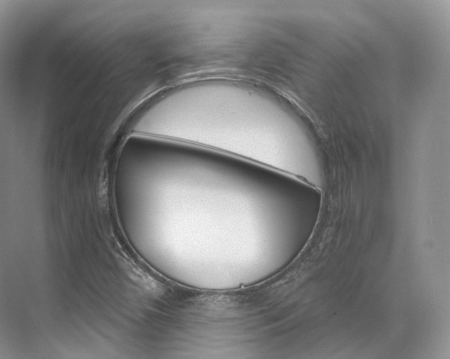 X0000076231450200609280935