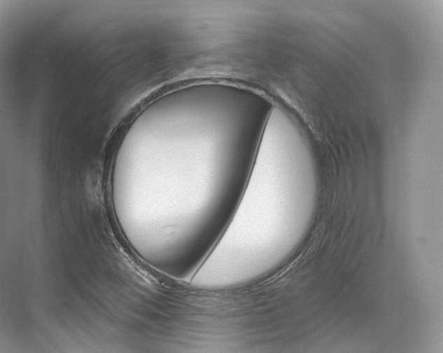 X0000076231452200609280935