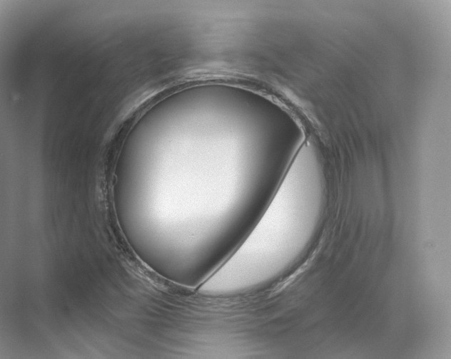 X0000076231453200609280935