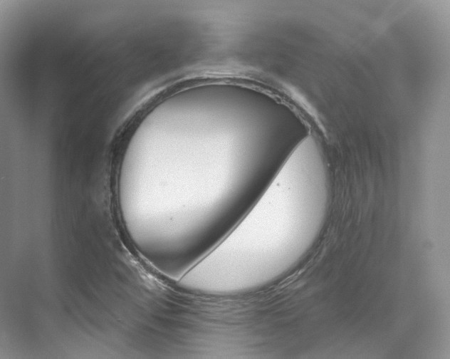 X0000076231456200609280935
