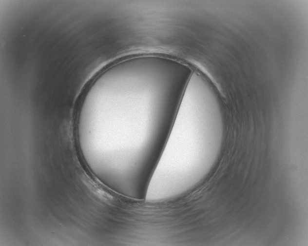 X0000076231460200609280935