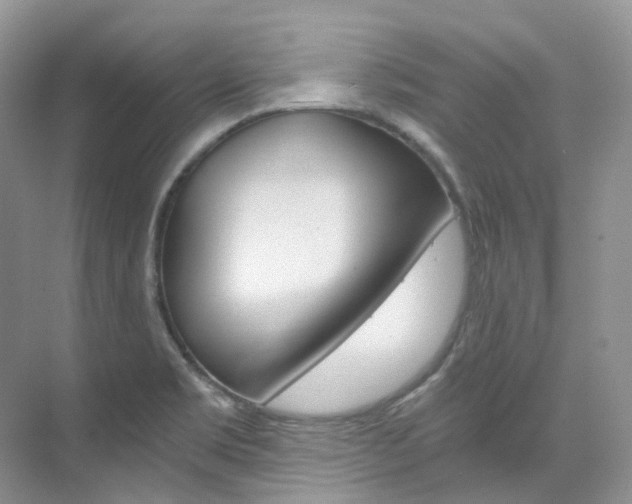 X0000076231469200609280935