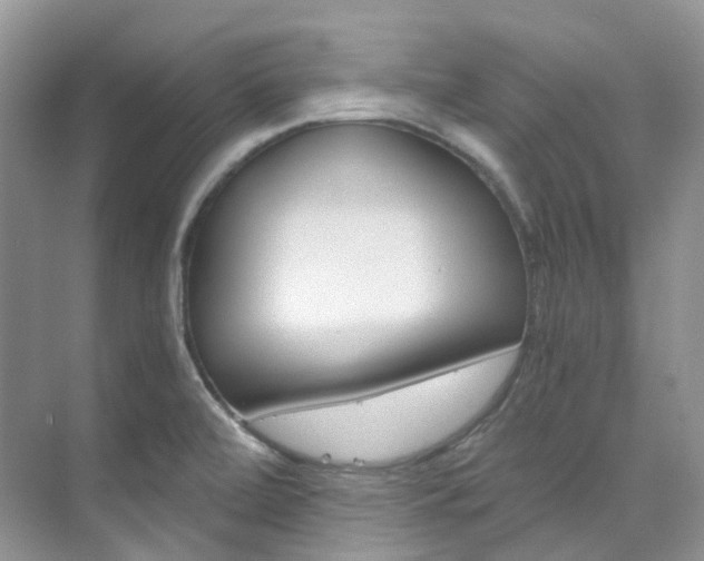 X0000076231472200609280934
