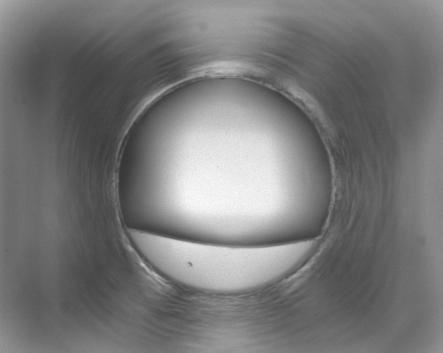 X0000076231473200609280934