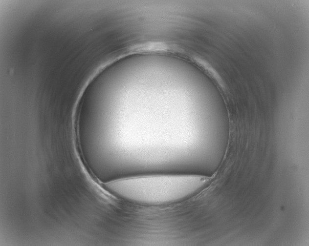 X0000076231475200609280934
