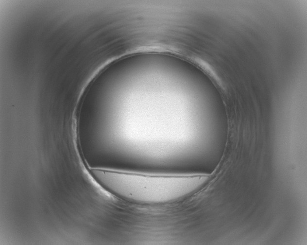 X0000076231476200609280934