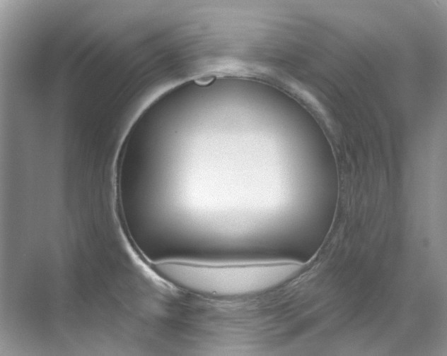X0000076231479200609280934