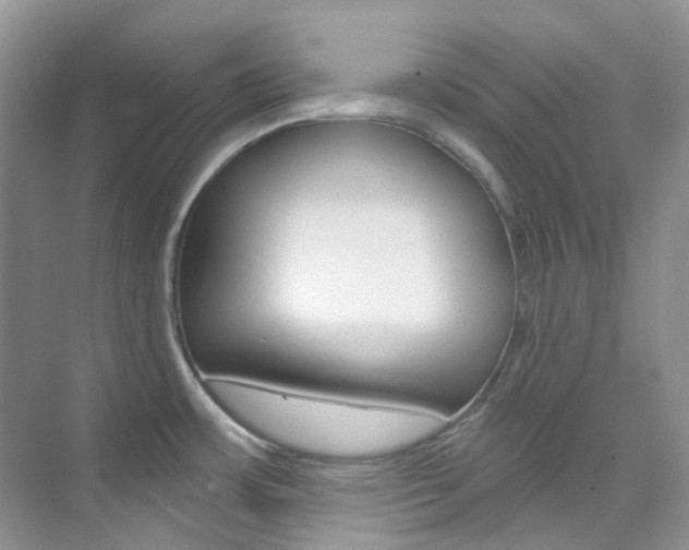 X0000076231483200609280934