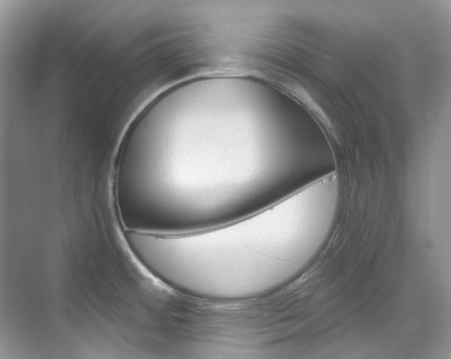 X0000076231484200609280934