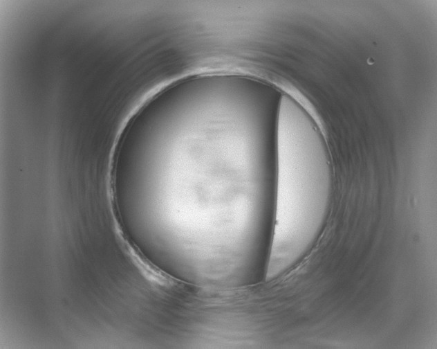 X0000076231485200609280934