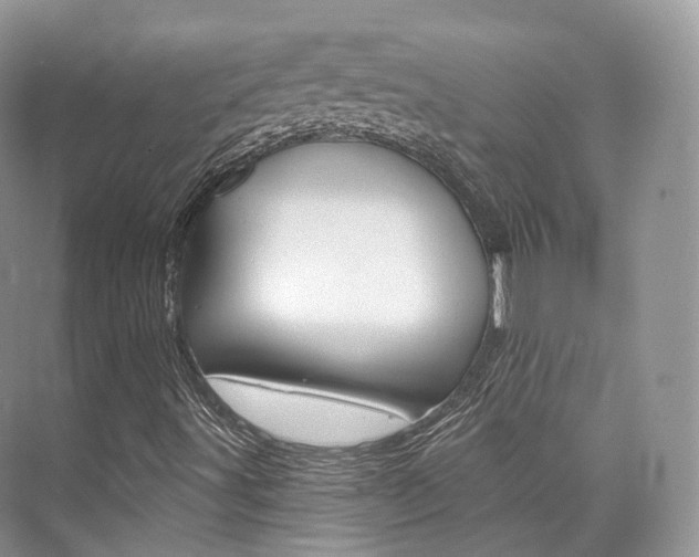 X0000076231491200609280933
