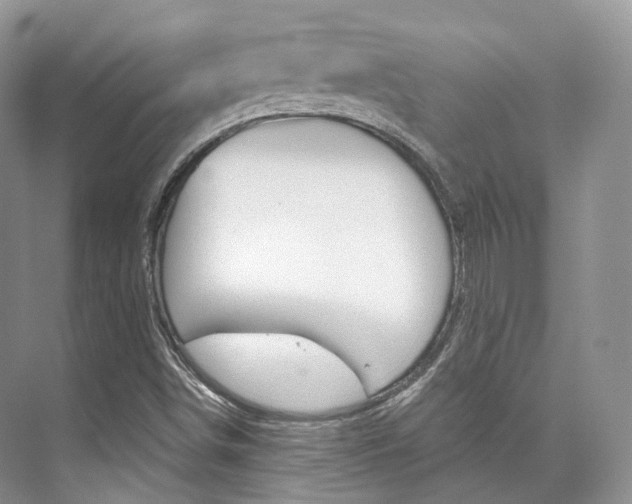 X0000076231498200609280934