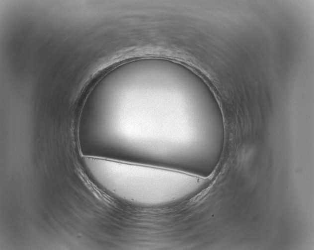 X0000076231499200609280934