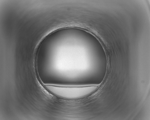 X0000076231500200609280934