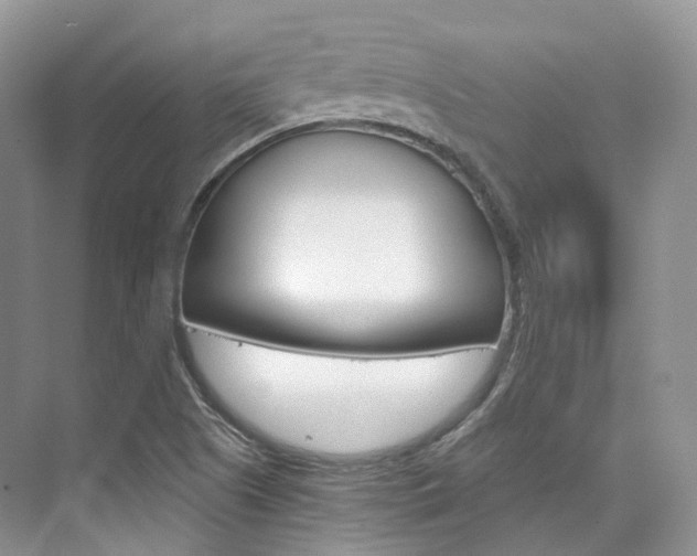 X0000076231505200609280934