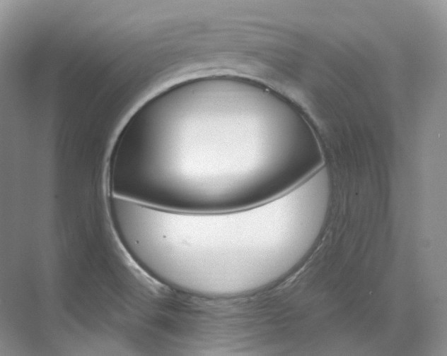 X0000076231516200609280934