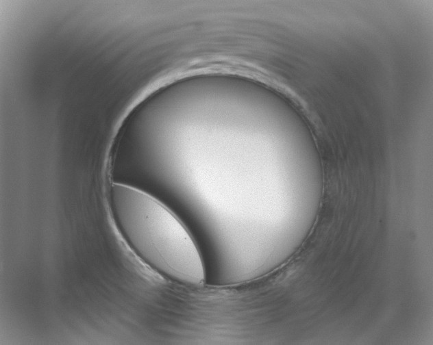 X0000076231522200609280934