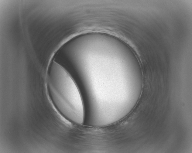 X0000076231525200609280934