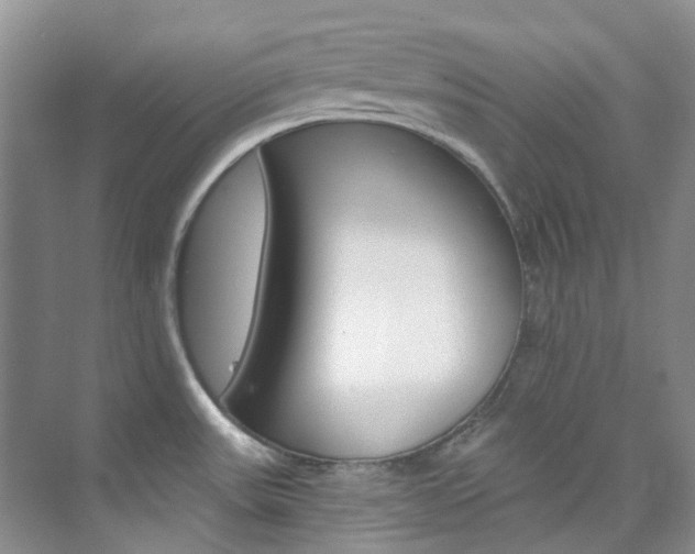 X0000076231531200609280934