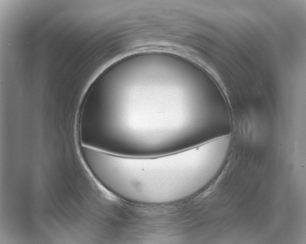 X0000076231533200609280934