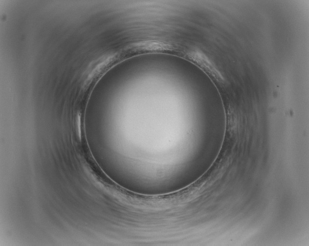 X0000076230014200609281124